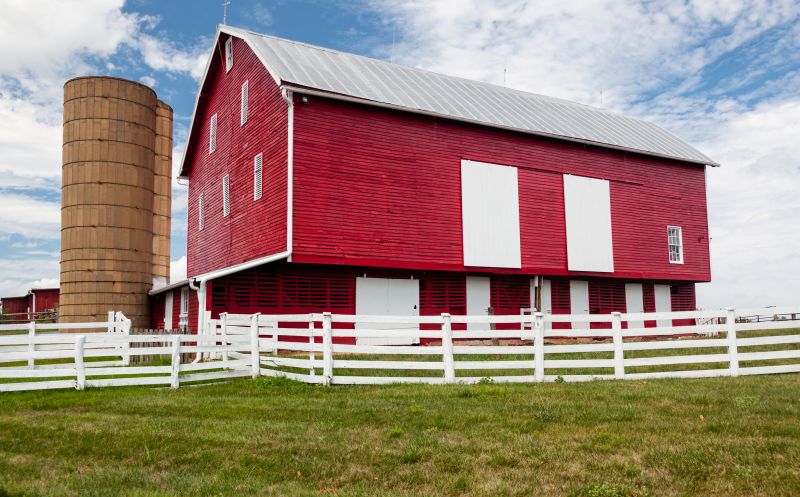 Barn Siding Painting