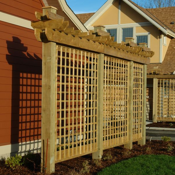 Trellis Staining Service