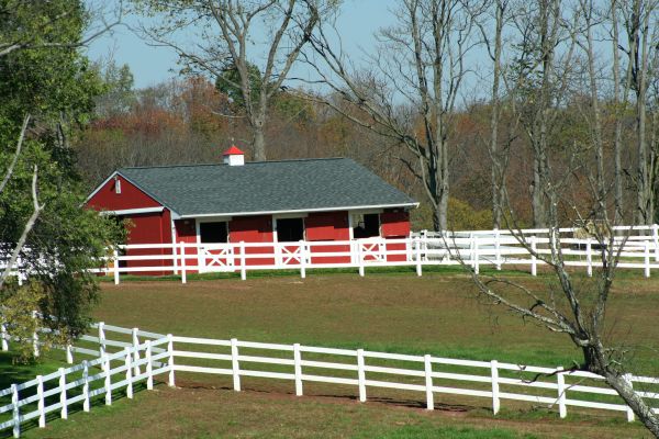 Horse Paddock Painting